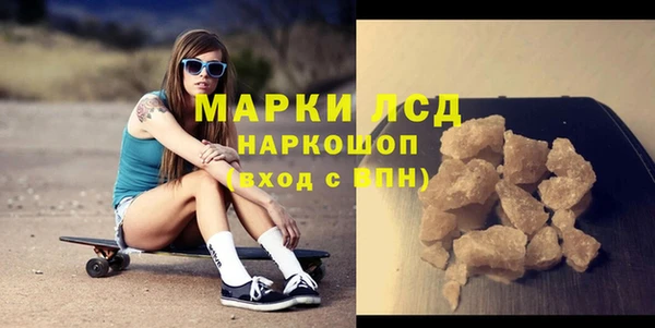стаф Осинники