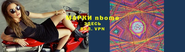 стаф Осинники