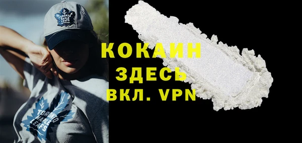 гашик Арсеньев