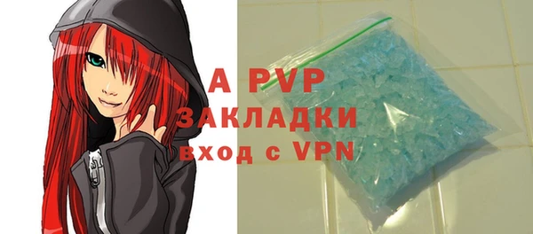 индика Аркадак