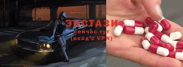 стаф Осинники