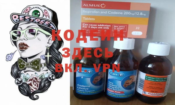 индика Аркадак