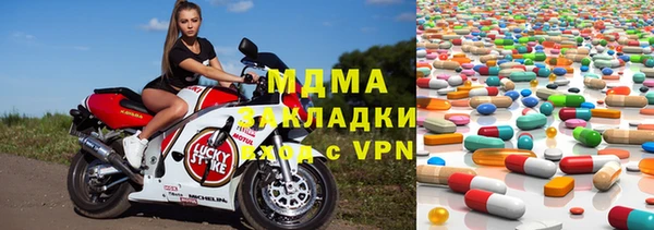 индика Аркадак