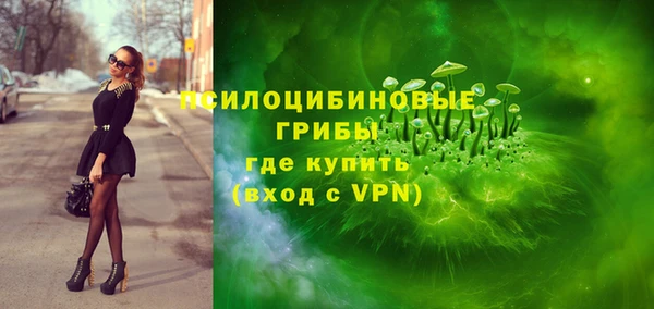 стаф Осинники
