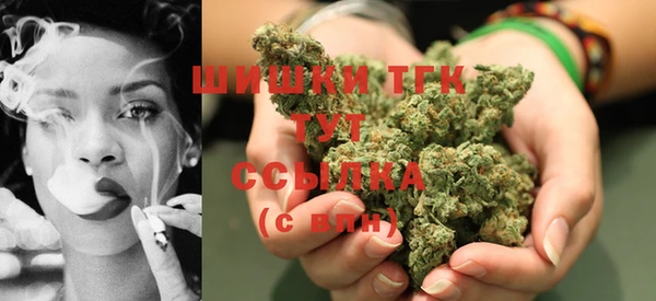 стаф Осинники